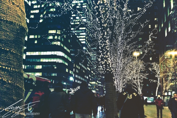 Christmas Lights NYC